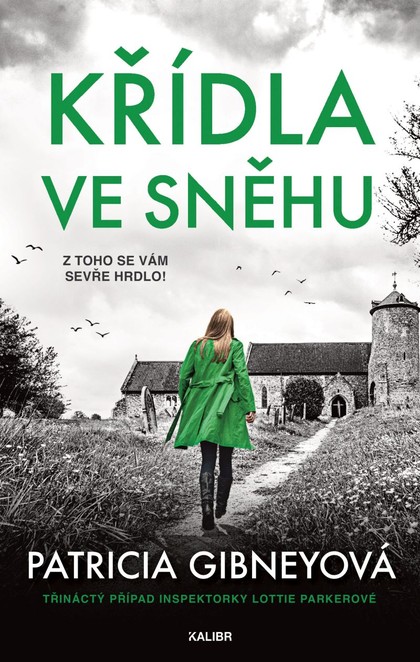 E-kniha Křídla ve sněhu