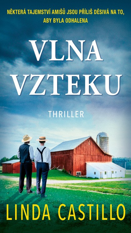 E-kniha Vlna vzteku