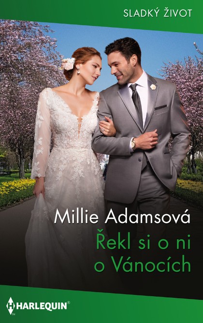 E-kniha Řekl si o ni o Vánocích
