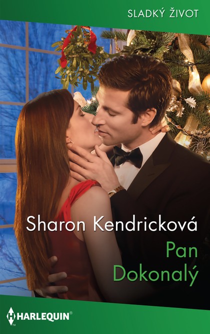 E-kniha Pan Dokonalý