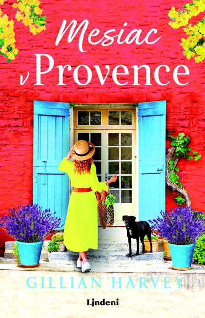 E-kniha Mesiac v Provence