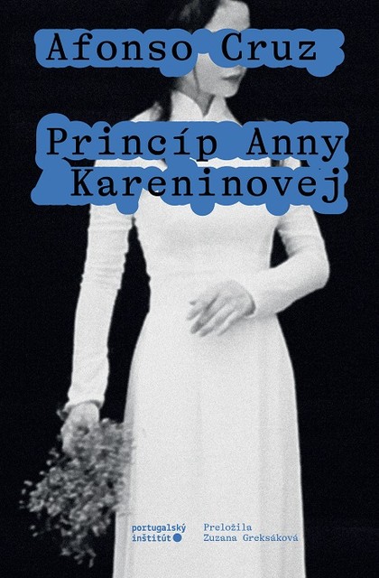 E-kniha Princíp Anny Kareninovej