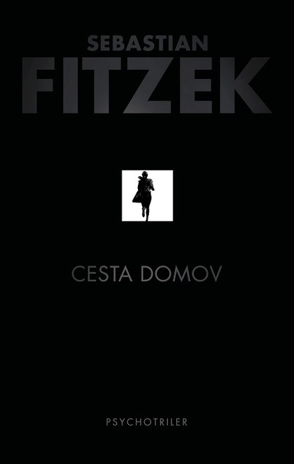 E-kniha Cesta domov