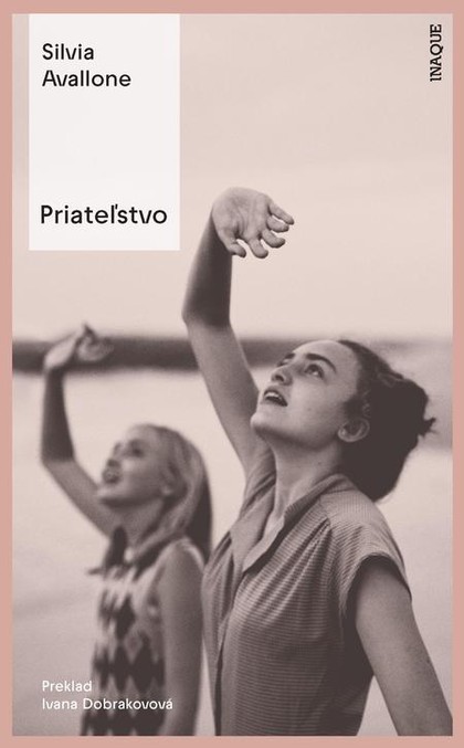 E-kniha Priateľstvo