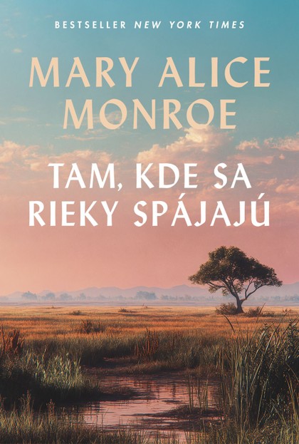 E-kniha Tam, kde sa rieky spájajú
