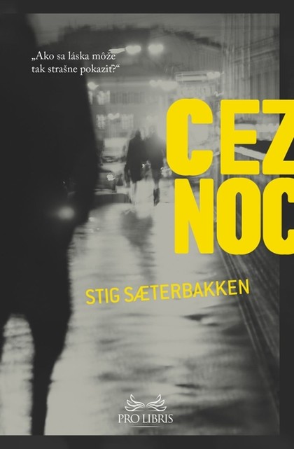 E-kniha Cez noc