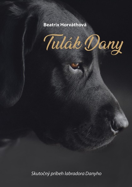 E-kniha Tulák Dany