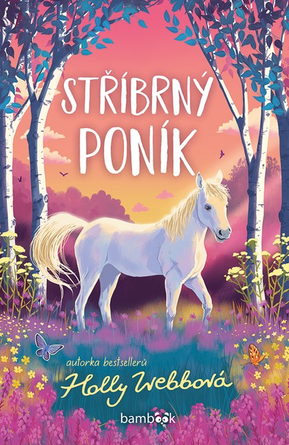 E-kniha Stříbrný poník