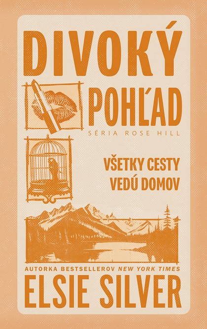 E-kniha Divoký pohľad