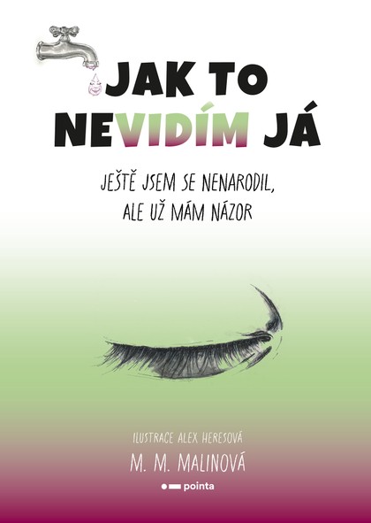 E-kniha Jak to nevidím já