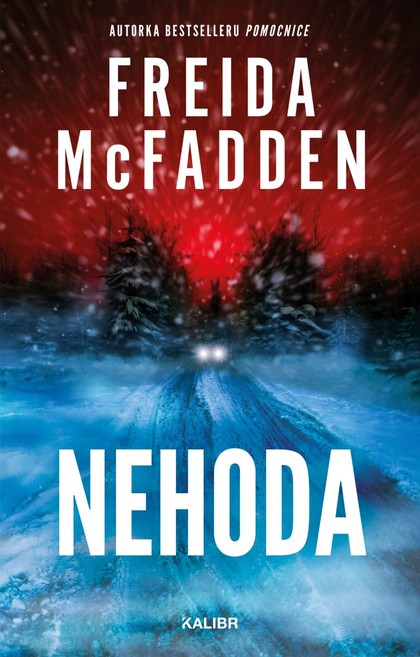 E-kniha Nehoda