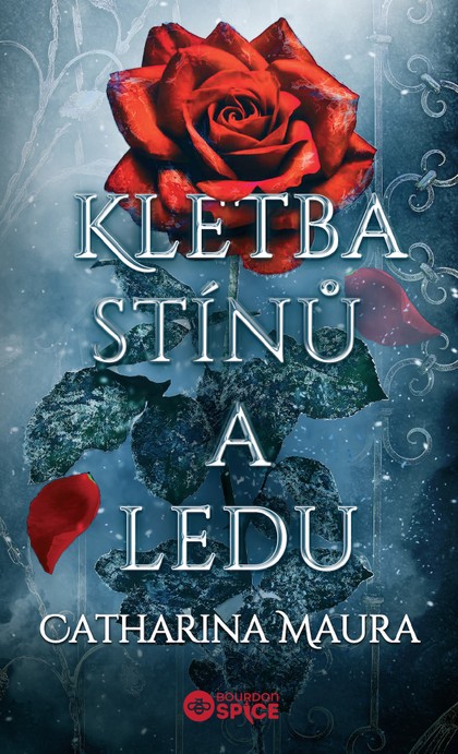 E-kniha Kletba stínů a ledu