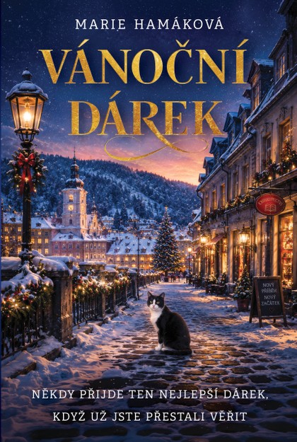 E-kniha Vánoční dárek