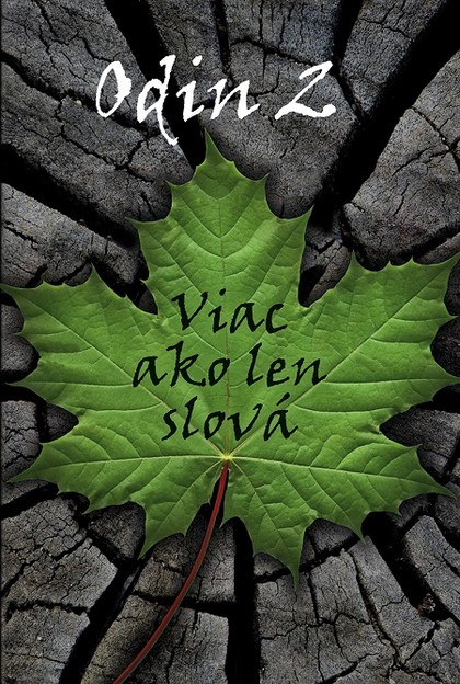 E-kniha Odin 2