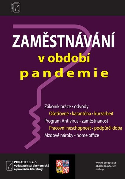 E-kniha Zaměstnávání v období pandemie