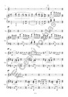 Václav Trojan: Concertino per tromba ed orchestra / klavírní výtah - galerie 3