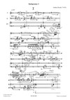 Ondřej Štochl: Kaligramy pro flétnu, violoncello a klavír - galerie 2