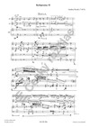 Ondřej Štochl: Kaligramy II. pro klavírní trio - galerie 2