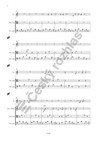 Petr Wajsar: Happy End pro klarinet, smyčcové kvarteto a smyčcový orchestr - galerie 3