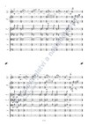 Robert Hejnar: Lorelei pro housle sólo, komorní smyčcový orchestr a klavír - galerie 3