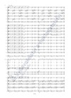 Martin Kumžák: Šroubovice pro smyčcové kvarteto a orchestr - galerie 3
