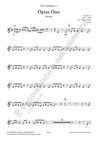 Arr. Václav Hybš: Opus One, Moonlight Serenade - galerie 3