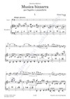 Zdeněk Šesták: Musica bizzarra per fagotto e pianoforte - galerie 2