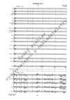 Ilja Hurník: Symfonie in C - galerie 2