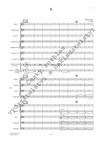 Zdeněk Lukáš: Symfonický koncert - galerie 2