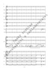 Zdeněk Lukáš: Symfonický koncert - galerie 3