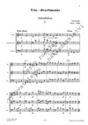 Iša Krejčí: Trio – Divertimento - galerie 2