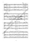 Iša Krejčí: Trio – Divertimento - galerie 3