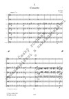 Jiří Teml: Concerto grosso č. 3 - galerie 2