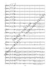 Václav Trojan: Concertino per tromba ed orchestra - galerie 3