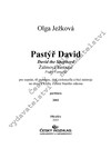 Olga Ježková: Pastýř David - galerie 1