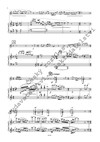La musica della luna / klavírní výtah - galerie 3