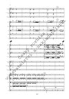 Dvojkoncert pro housle, violoncello a symfonický orchestr - galerie 3
