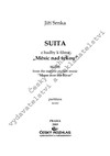 Jiří Srnka: Měsíc nad řekou, suita z hudby k filmu - galerie 1