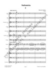 Miroslav Kubička: Sinfonietta - galerie 2