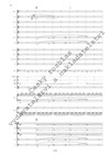 František Chaun: Zámek - galerie 3