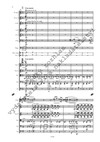 Emil Viklický: Obrazy pro orchestr - galerie 3