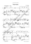 Lukáš Sommer: Impromptu - galerie 2