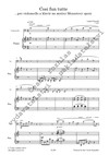 Lukáš Hurník: Cosi Fun Tutte - galerie 2