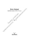 Petr Hejný: Malířská sonáta - galerie 1