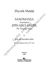 Zbyněk Matějů: Saxomania, Zpívající anděl - galerie 1
