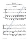 Jiří Jaroch: Tři věty pro housle, violoncello a klavír - galerie 3