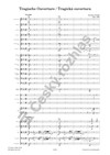 Antonín Dvořák: Tragická ouvertura - galerie 2