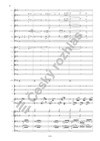 Antonín Dvořák: Tragická ouvertura - galerie 3