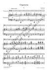 Jan Novák: Capriccio pro violoncello a orchestr / klavírní výtah - galerie 2