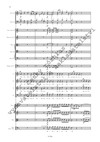 Jan Hugo Voříšek: Graduale Benedictus es - galerie 3